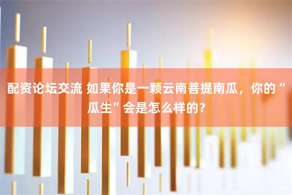 配资论坛交流 如果你是一颗云南菩提南瓜，你的“瓜生”会是怎么样的？